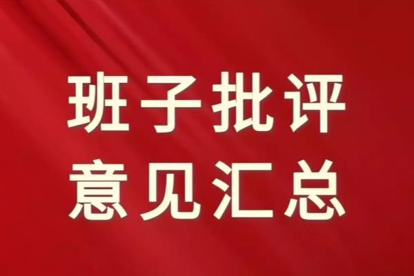 对班子成员意见和建议100条.