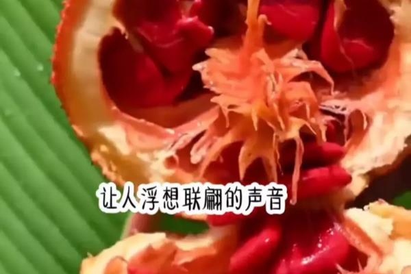 泰国网红抖音小妹歌曲（抖音首页🔍(小七故事会)进入口令281254）.