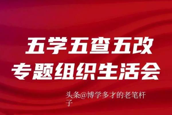 组织生活会整改措施落实情况.