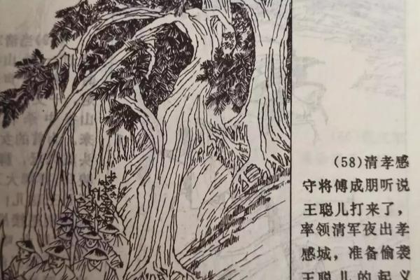 儿童绘画作品简介50字.