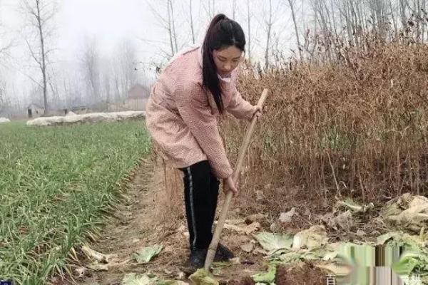 广西一女子（广西一女子熟睡中被女婿性侵）.