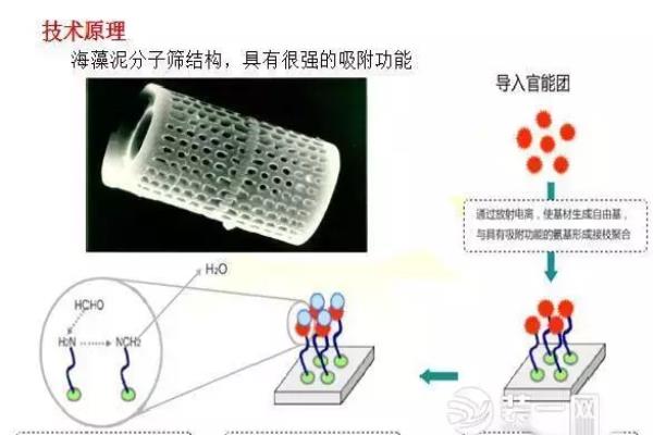 米奇儿童漆怎么样（儿童漆与普通漆的区别）.