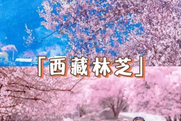 女神节活动策划方案（三八女神节活动策划方案@HR）.