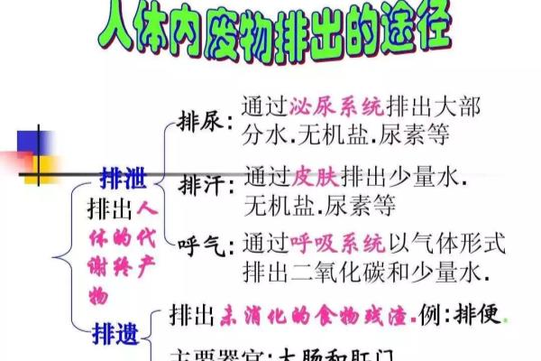 宇航员在太空的生活垃圾怎么处理（航天员在空间站的排泄物是怎么处理的）.