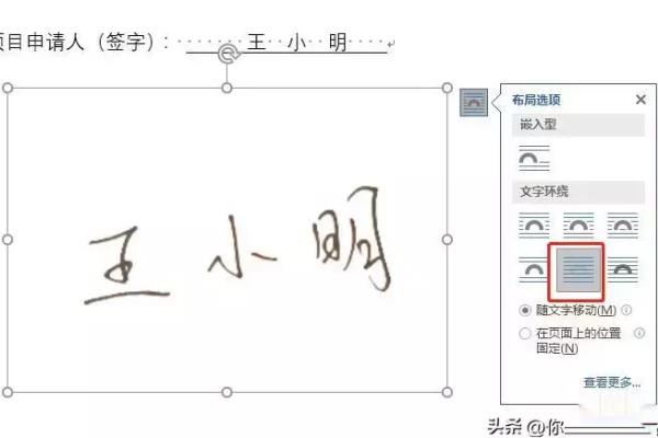 输入名字自制签名（电子签名会做吗）.