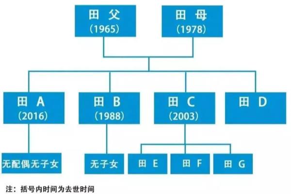 兄弟没子女没配偶遗产谁继承（无子女的情况下该如何继承）.